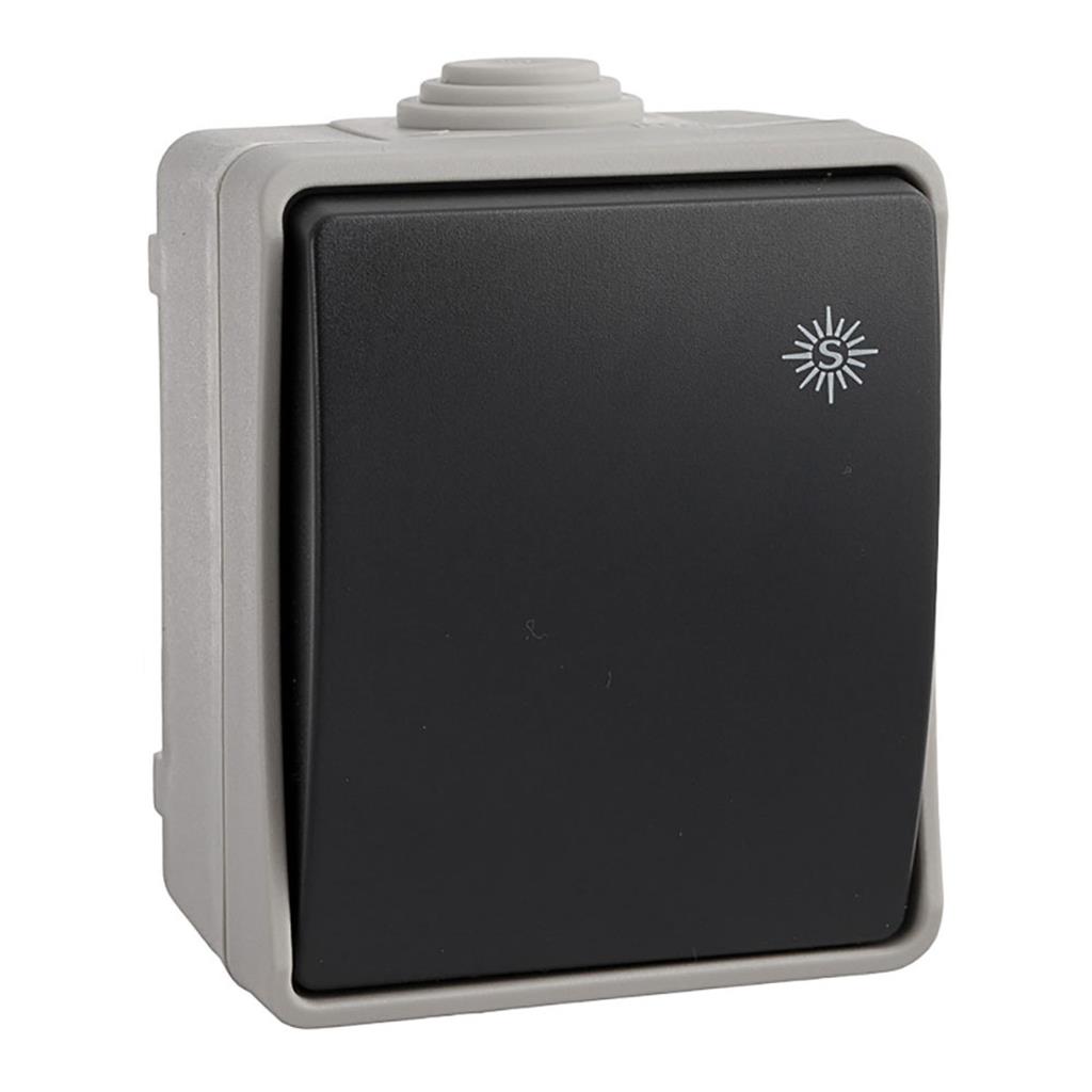 CONMUTADOR ESTANCO 10AX 250V~IP54  (R64031)