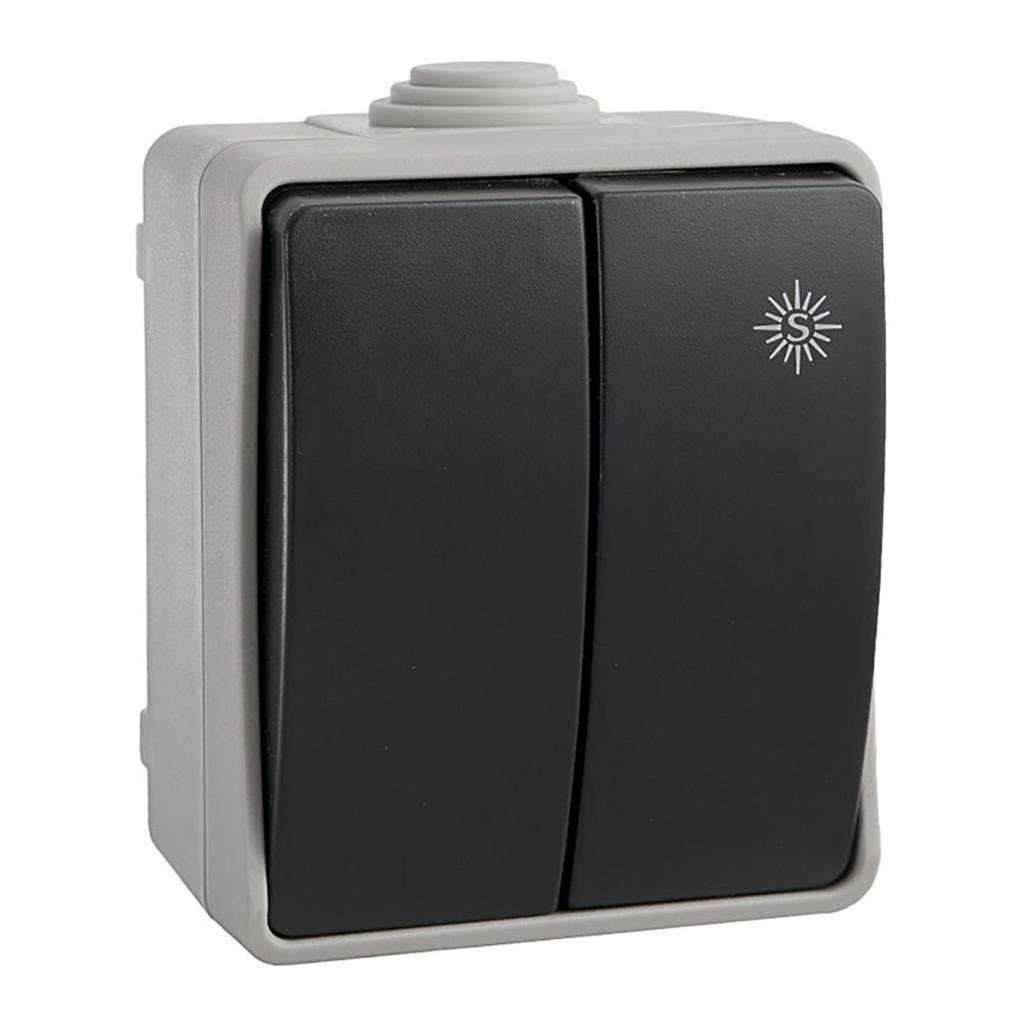 DOBLE CONMUTADOR ESTANCO 10AX 250V~ IP54 (R64037)