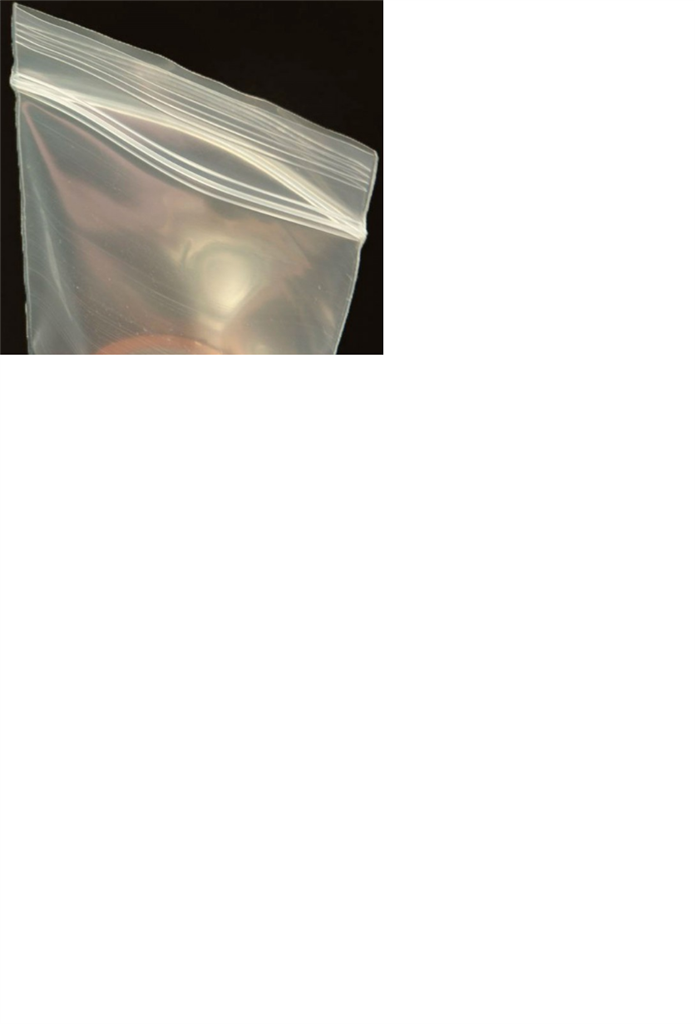 BOLSA CON CIERRE 180X250MM (MILLAR)