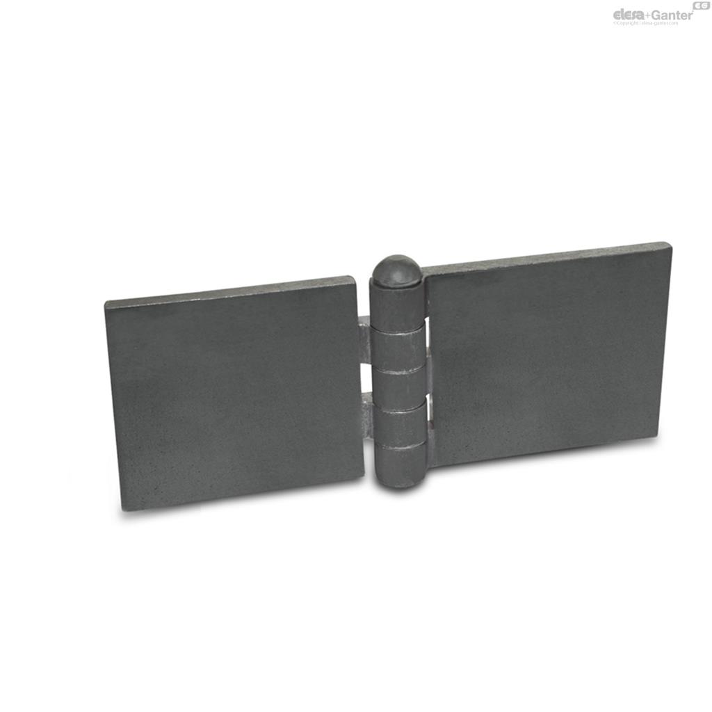 EG BISAGRA GN 1366-ST-60-30-A-BL