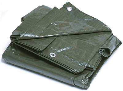 TOLDO MULTIUSO VERDE 2X3M 115GR (PG0714)