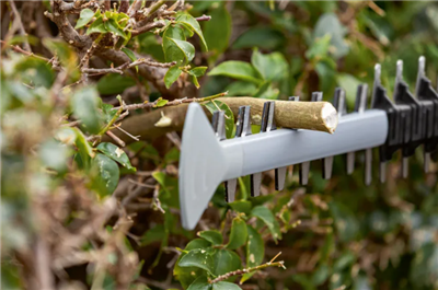 BOSCH CORTASETOS GHE 18V-60 S/BAT. 0.600.8C9.000