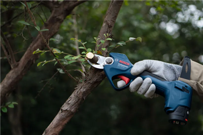 BOSCH TIJERA GGP 12V-25 (BT) S/BAT. 0.600.8D8.101