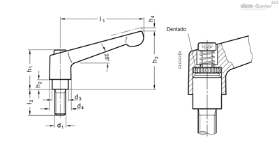 EG EMPUÑADURA GRAD. MACHO GN 300-92-M12-40-SW