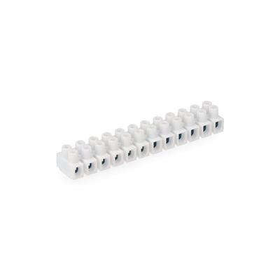 REGLETA CONEXION 2.5-4MM HOMOLOG. BLANCA (R63111)