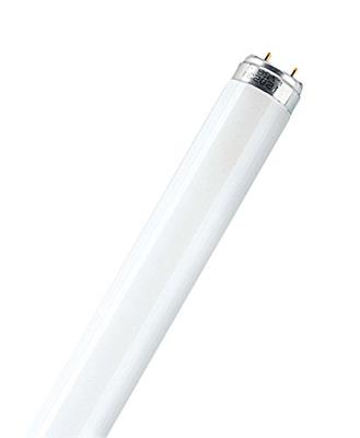 TUBO FLUORESCENTE 18W COLOR 840 T8 G13 60CM