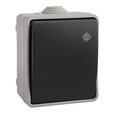 CONMUTADOR ESTANCO 10AX 250V~IP54  (R64031)
