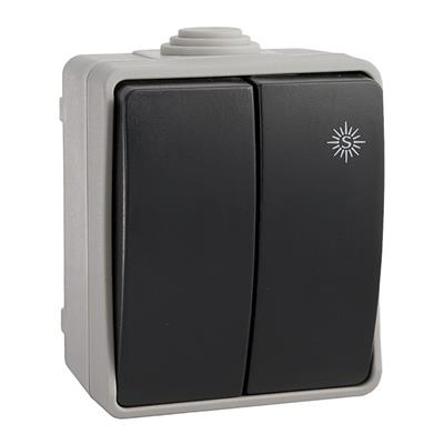 DOBLE CONMUTADOR ESTANCO 10AX 250V~ IP54 (R64037)