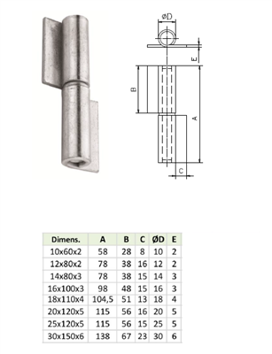 BISAGRA PALA 120X5MM (65R)