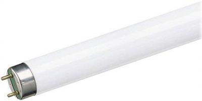 TUBO FLUORESCENTE 36W COLOR 865 T8 G13 120CM