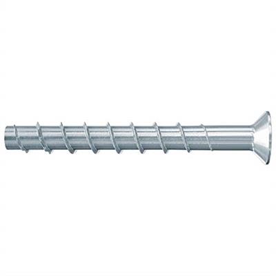 FISCHER TACO TORNILLO FBS II 8X80 (536881)