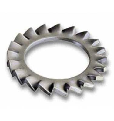 ARANDELA DIN6798A INOX M12
