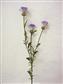 BRIDA TORNAPUNTA GALV. 48-(1 1/2") (0401201480)