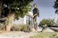 KARCHER ASPIRADOR WD 5 S (1.628-350.0)