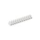 REGLETA CONEXION 4-6MM HOMOLOGADA BLANCA (R63112)