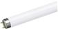TUBO FLUORESCENTE 36W COLOR 865 T8 G13 120CM