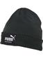 PUMA GORRO INVIERNO NEGRO (30-98-99)