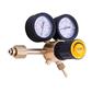 REGULADOR MANOREDUCTOR AR/CO2 25L GALAGAR 37600000